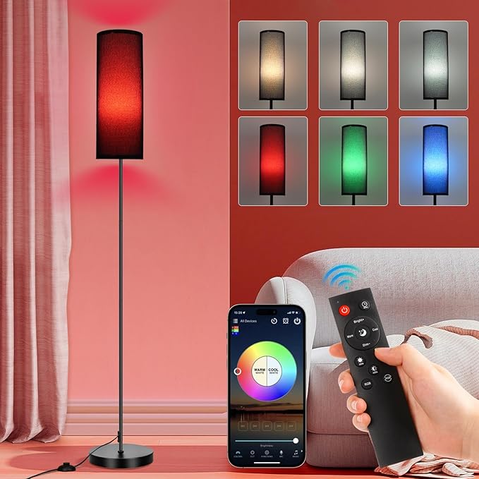 FRIDEKO HOME Floor Lamp, Color Changing Ambient Lighting