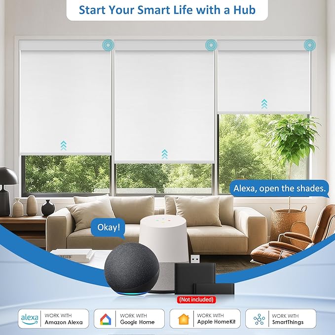 MANSNIX Smart Motorized Blinds