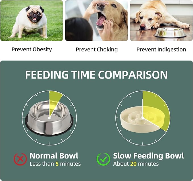 3.2 Cup Ceramic Raised Slow Feeder Dog Bowl Set, Elevated 8.2inch Bowl and