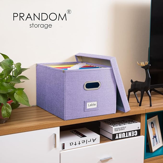 PRANDOM File Organizer Box (Set of 4)