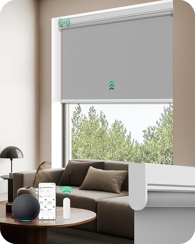 Allesin Motorized Roller Blinds