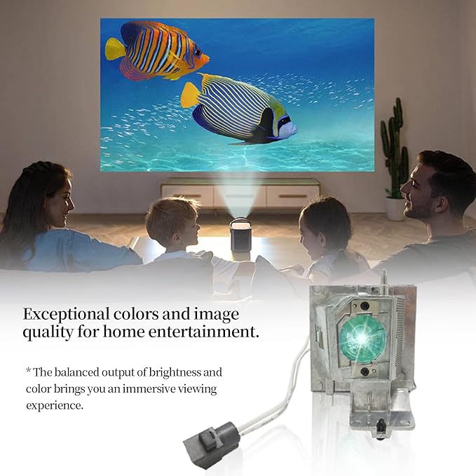 SORNEICDR Replacement Projector Lamp Bulb NP36LP BL-FP190E/FP190D MC.JH111.001