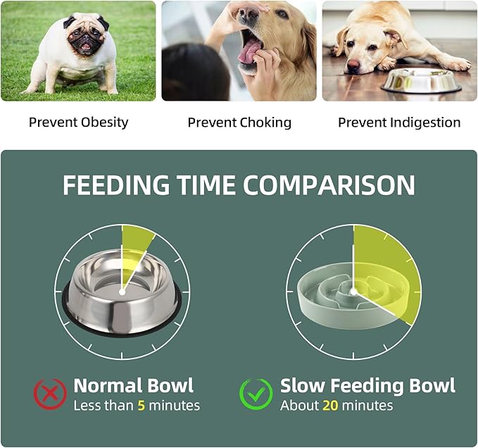 Ceramic 1.6 Cup Raised Slow Feeder Dog Bowl Set, Elevated Wooden Stand