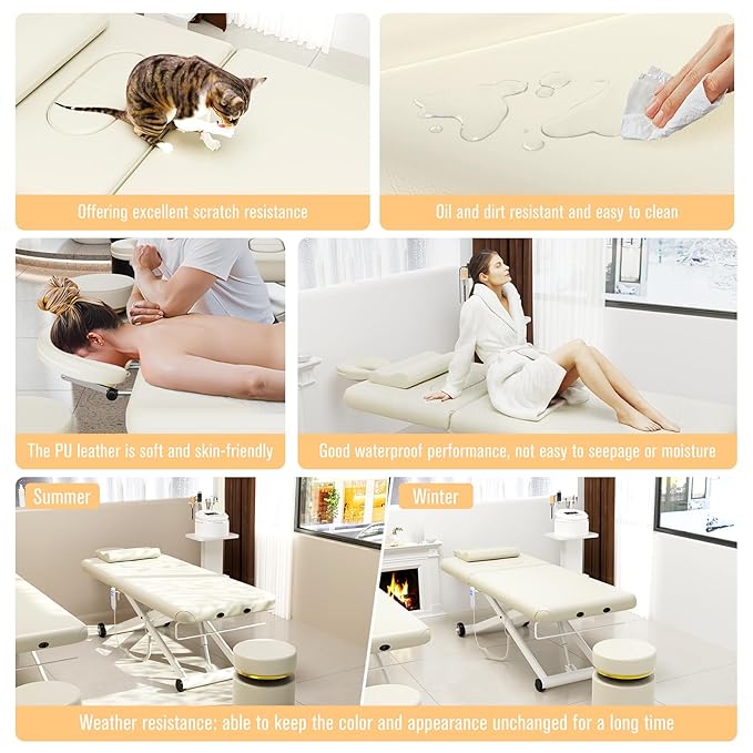 pouseayar Heavy Duty Electric Massage Table, Electric Lift and Electric