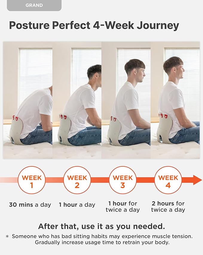 Curble GRAND 2PACK – Ergonomic Chair Back Support, Lumbar Support