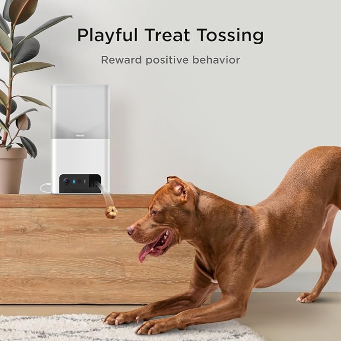 Petcube Bites 2 Lite Interactive WiFi Pet Monitoring Camera