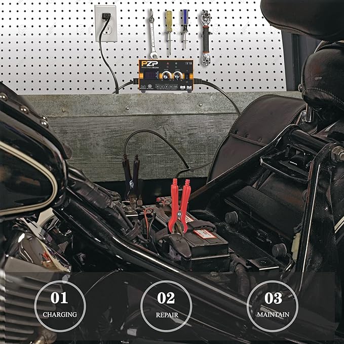 PZP 12V Manual Battery Charger Maintainer, 0 to 10A Arbitrarily Adjustable Car