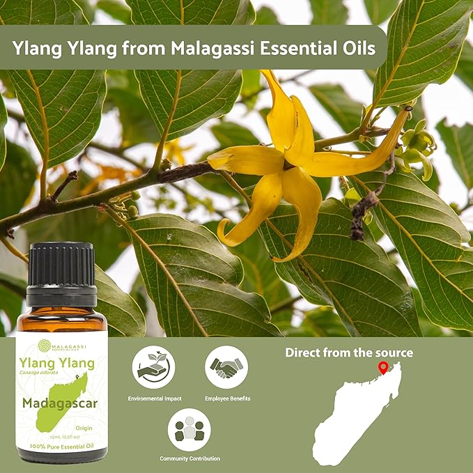 Ylang Ylang Essential Oil