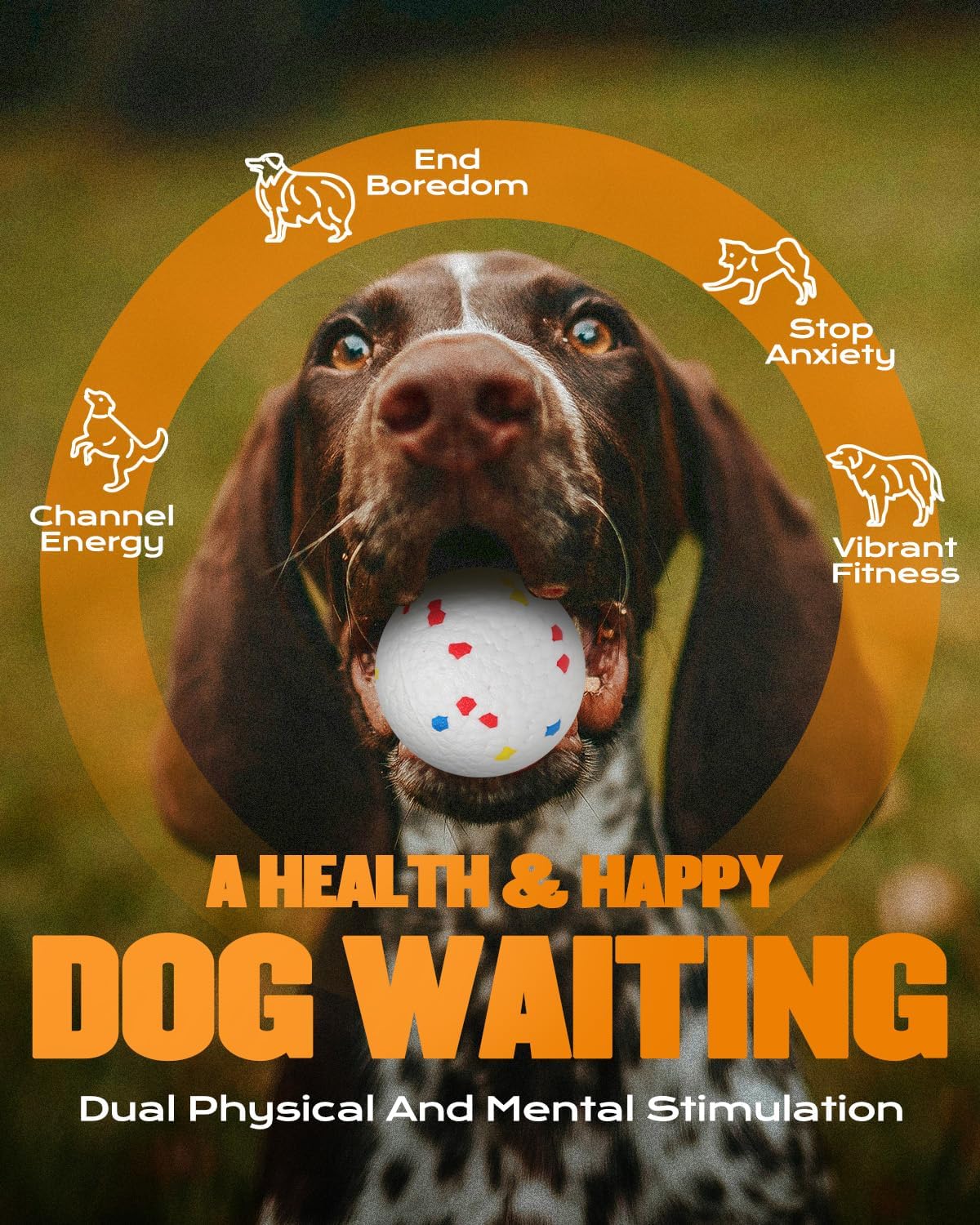 automatic ball launcher for dogs with 6 balls showing dimensions