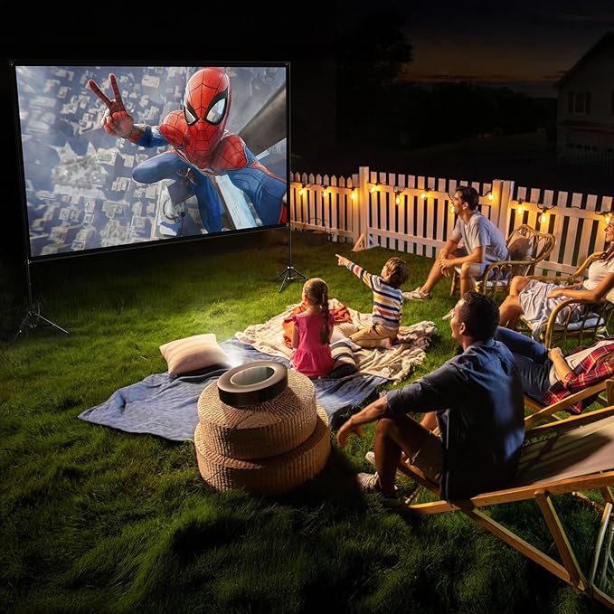 VISULAPEX Projector Screen