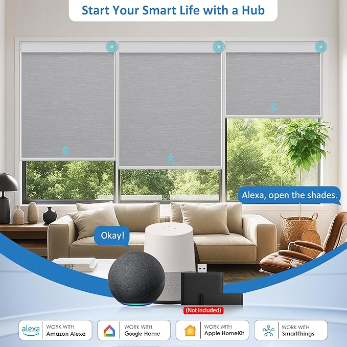 MANSNIX Smart Motorized Blinds