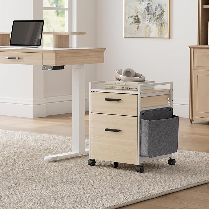 EUREKA ERGONOMIC 2-Drawer Mobile File Cabinet