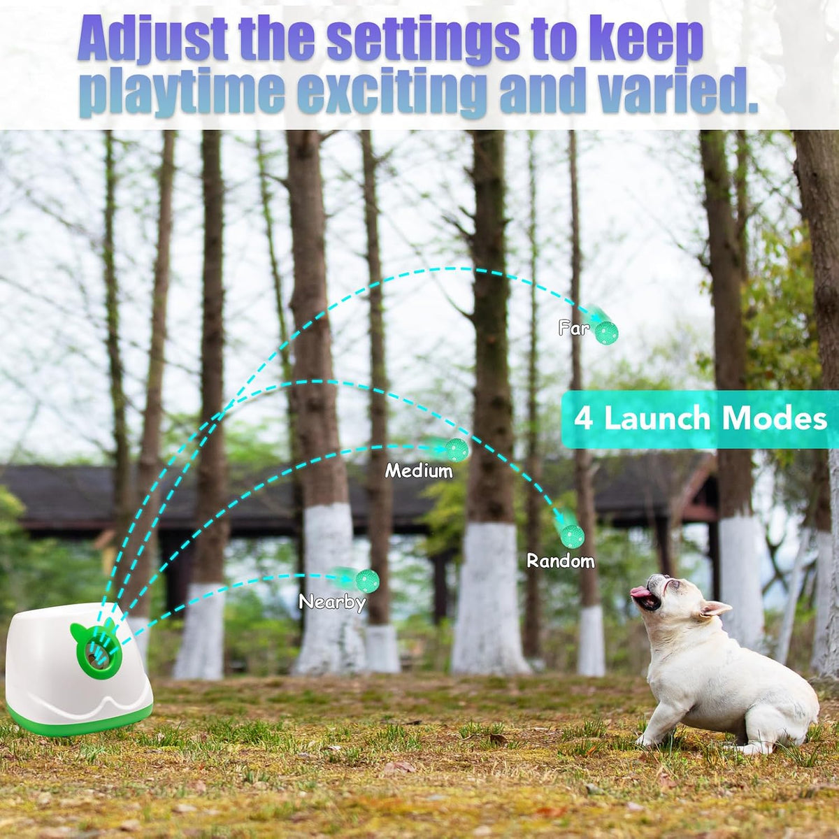 automatic dog ball launche with 9 balls (2 shown in use