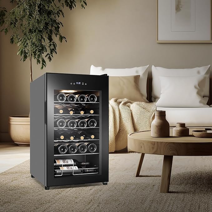 24 Bottles Wine Cooler Refrigerator, Small Wine Fridge Mini Wine Fridge