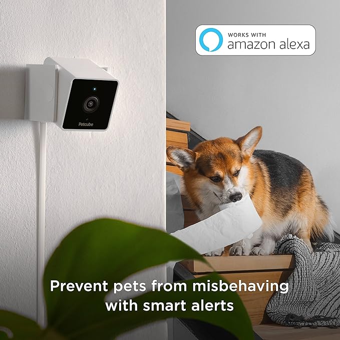Petcube Cam Indoor Home Security Camera