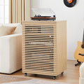 LEVNARY 5-Tier AV Media Cabinet