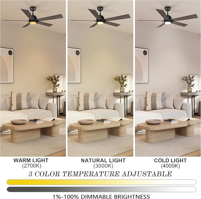 SMAAIR Smart Ceiling Fans with Lights and Remote, 60 Inch Low Profile Ceiling