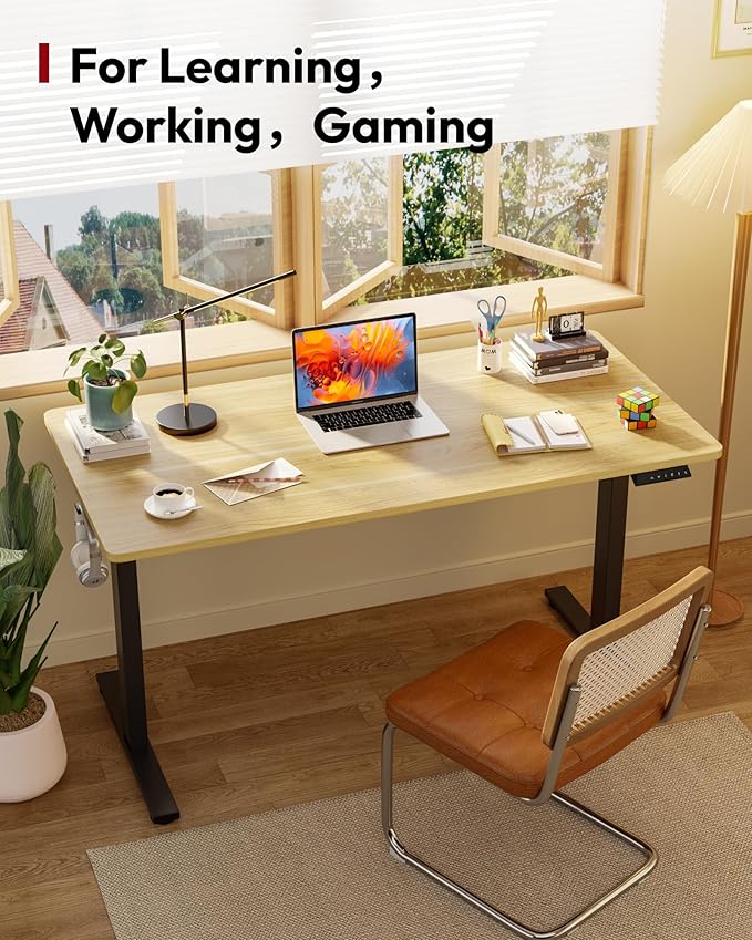 SANODESK Electric Standing Desk 60 x 24 Inches Whole-Piece Desktop Height