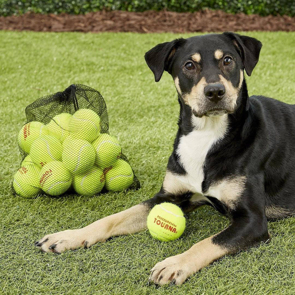 Tourna Pressureless Tennis Balls with Vinyl Tote (45 pack of balls)