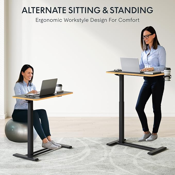 FLEXISPOT Mobile Standing Desk