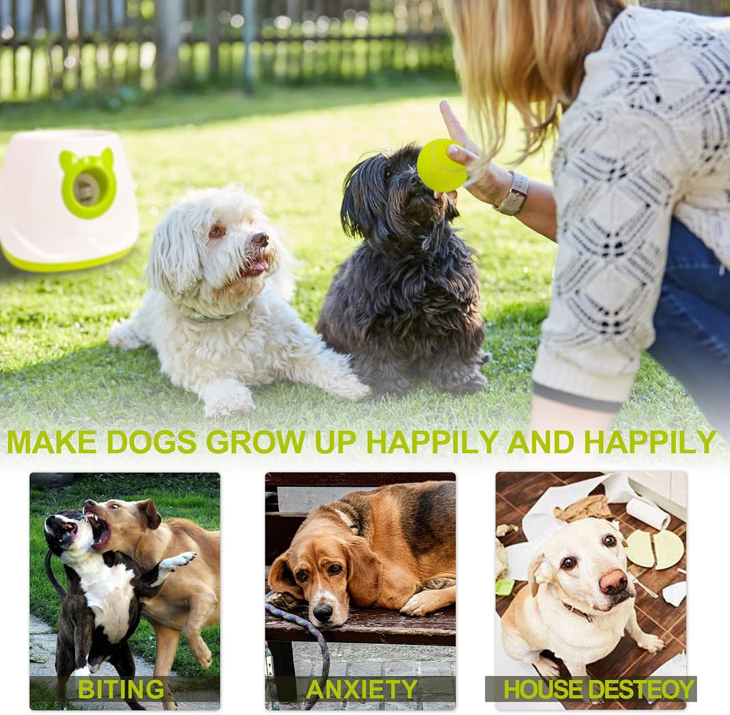 BESTHLS Automatic Dog Ball Launcher Tennis Ball Thrower Machine with 6 Ball