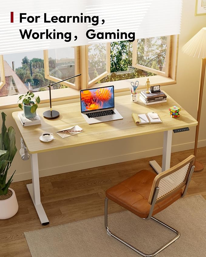 SANODESK Electric Standing Desk 60 x 24 Inches Whole-Piece Desktop Height
