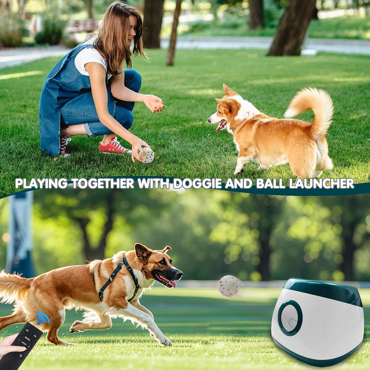 mekaple automatic dog ball launcher, upgraded interactive dog on a desk or shelf
