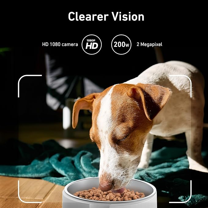 Automatic Dog & Cat Feeder