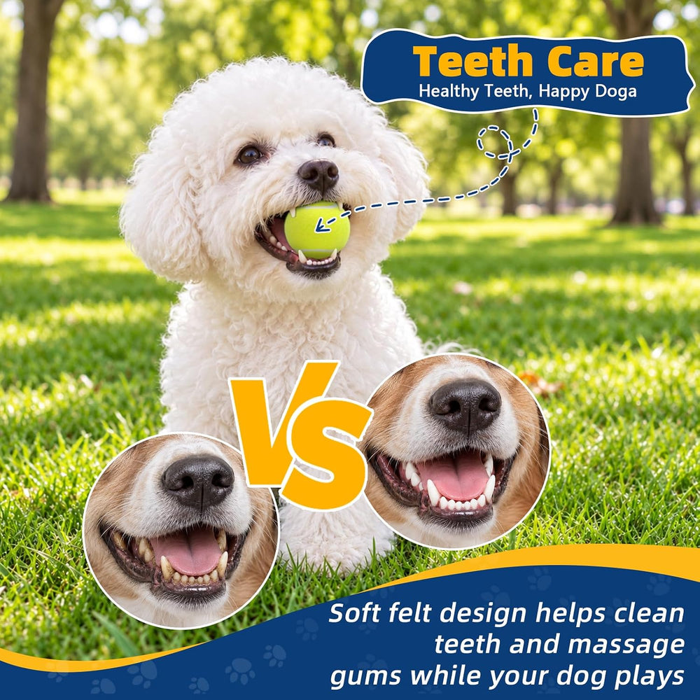 SHYUJAJIE Dog Balls, Tennis Balls for Dogs
