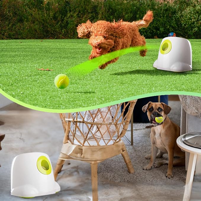ALL FOR PAWS Automatic Ball Launcher for Dogs Interactive Puppy Pet Ball Indoor (3 Pcs)