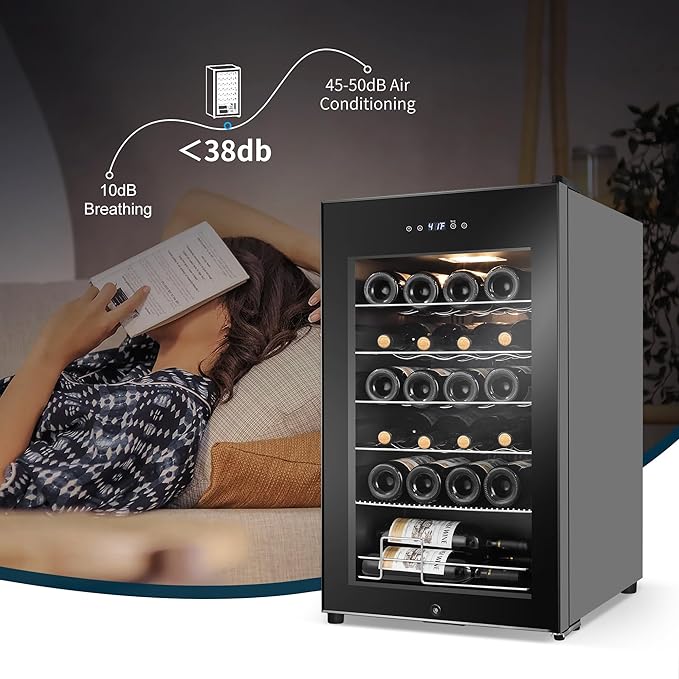 24 Bottles Wine Cooler Refrigerator, Small Wine Fridge Mini Wine Fridge