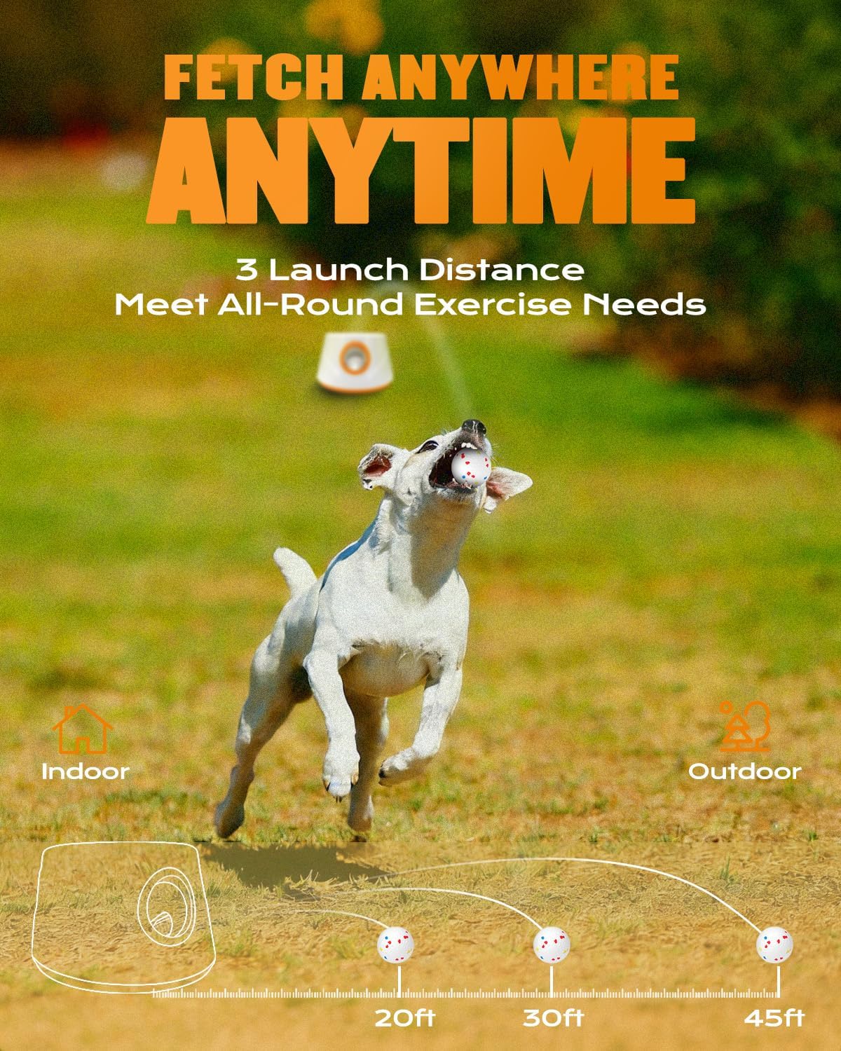 automatic ball launcher for dogs with 6 balls, close-up detail