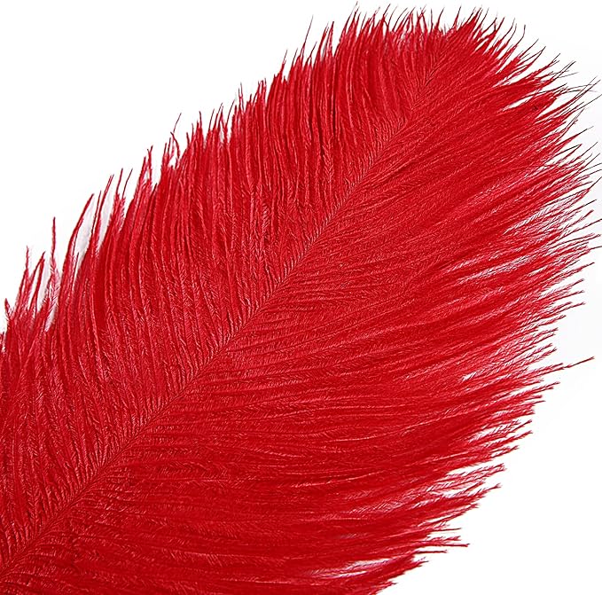 THARAHT Red Ostrich Feathers 12pcs Large Natural Bulk 16-18Inch 40cm-45cm for Wedding Party Centerpieces Halloween and Home Decoration Feathers