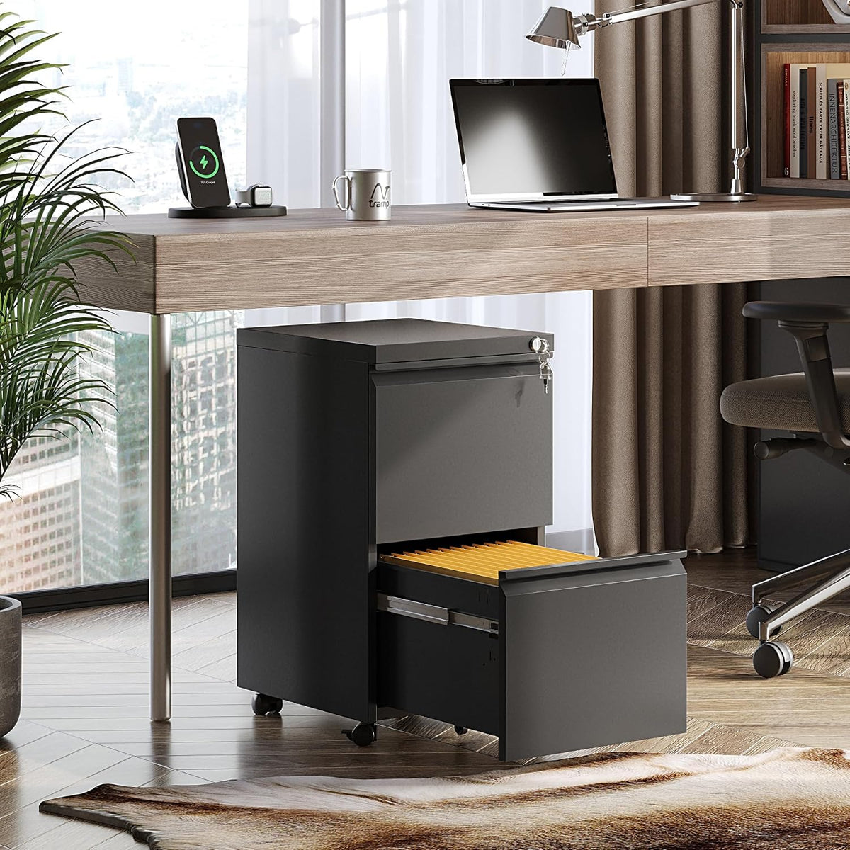DEVAISE 2 Drawer Metal File Cabinet, Fully Assembled Filing Cabinet