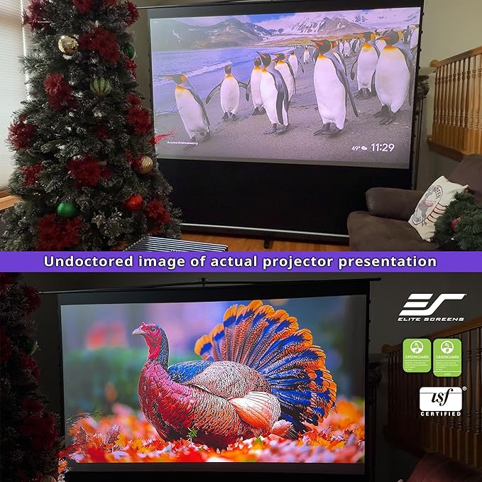 Elite Screens ezCinema Tab-Tension CineGrey 4D, 123-inch 16:9, Manual Floor