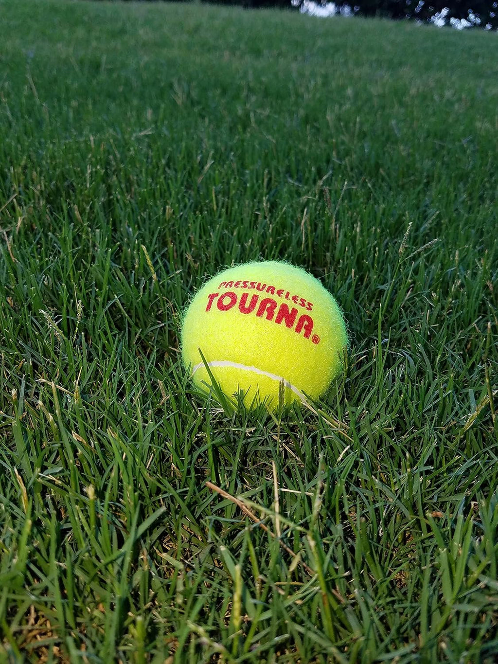 Tourna Pressureless Tennis Balls with Vinyl Tote (45 pack of balls)