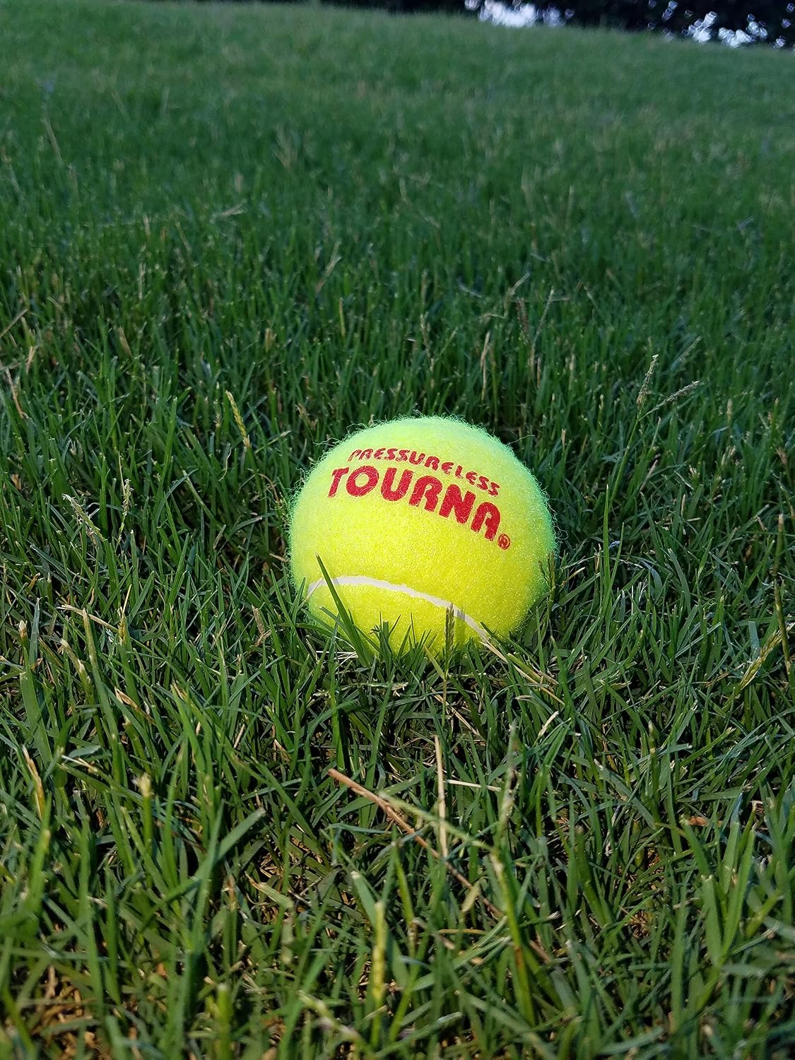 Tourna Pressureless Tennis Balls with Vinyl Tote (45 pack of balls)
