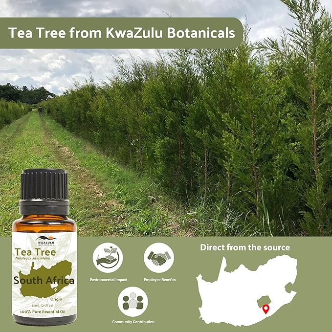 Tea Tree Essential Oil