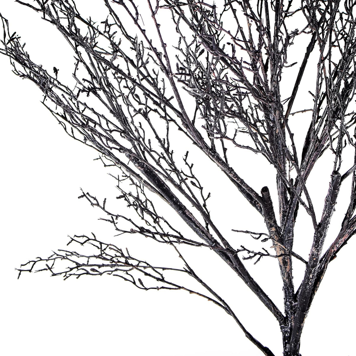 National Tree Company Artificial Tree Decoration, Black, Leafless, Includes Stand, Halloween Collection, 68 Inches